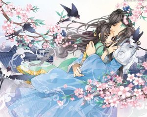 大象传媒免费观看版在线视频